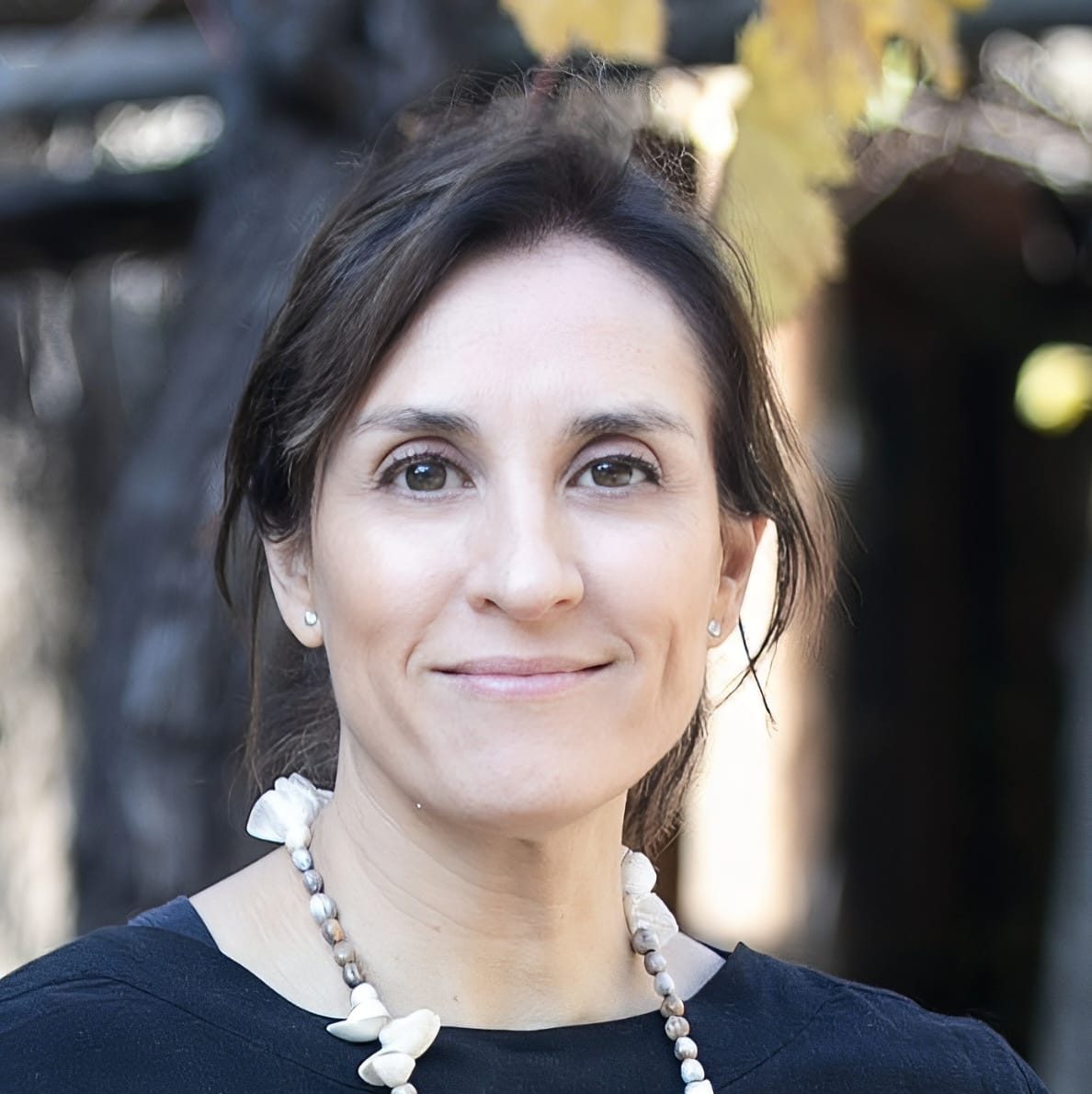 Loreto Aravena